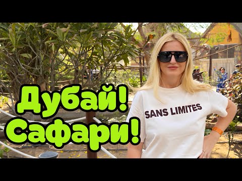 Видео: Дубай 2025! Куда пойти? САФАРИ Парк в ОАЭ!