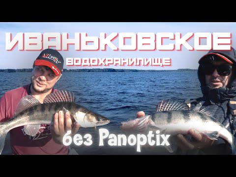 Видео: Рыбалка БЕЗ Panoptix на Иваньковском водохранилище. Ловля судака и берша на спиннинг с лодки