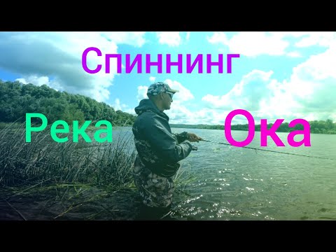 Видео: Рыбалка на Спиннинг / Река ОКА. Начало АВГУСТА. NEK Fish.