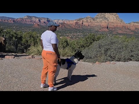 Видео: ЖИЗНЬ В ДОМЕ НА АВТОДОМЕ: Спокойный утренний распорядок ведет к живописному путешествию и потряса...