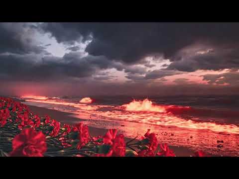 Видео: "Споём и поднимем", автор песни Лобанова Саша