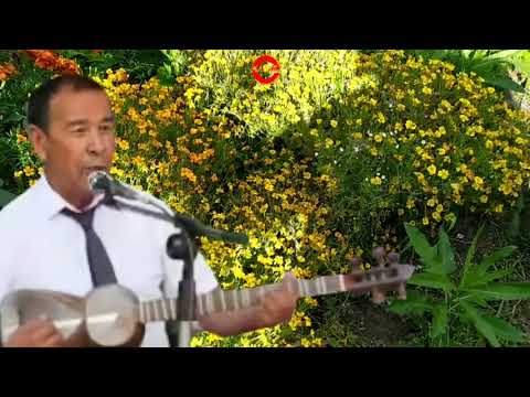 Видео: Илхом Жўраев ижросида бир қўшиқ этиборингизга