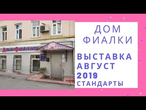 Видео: Выставка в Доме Фиалки Август 2019 Стандарты