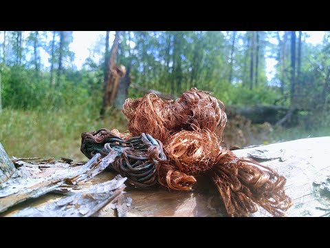 Видео: Медный поход в лес