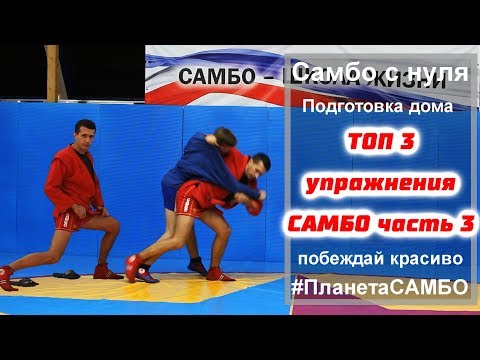 Видео: ТОП 3 упражнения самбо для дома часть 3