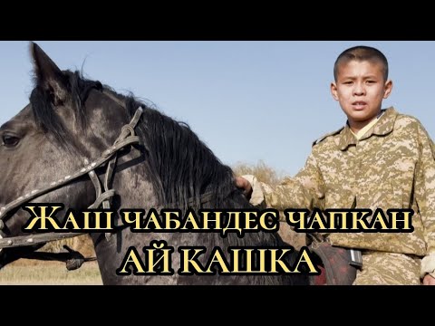 Видео: мына жаш чабандес АЙ КАШКАНЫ ЧАПТЫ