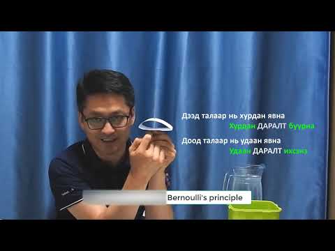 Видео: Далавчаа дэвдэггүй онгоц яаж нисдэг вэ?