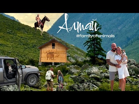 Видео: Алтай2025