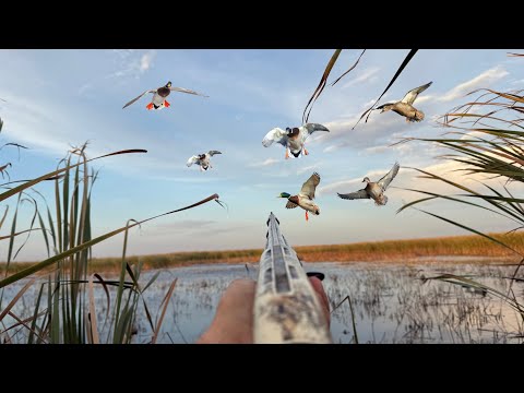 Видео: Охота на уток. Маленькая выбоина!