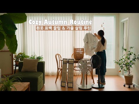 Видео: Советы по отбеливанию желтой одежды до белого цвета / 5 осенних бытовых советов для Кореи 🌿