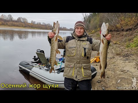 Видео: Осенний жор щуки. Рыбалка троллингом на щуку и судака. Республика Коми