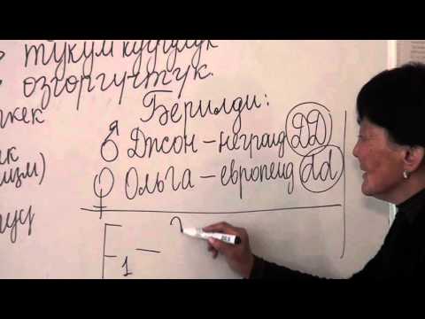 Видео: Кызыктуу генетика.  Асанбаева Г