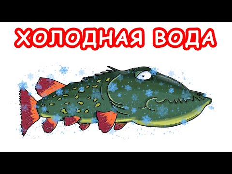 Видео: КАК ПОЙМАТЬ ХИЩНИКА В ХОЛОДНОЙ ВОДЕ. РЫБАЛКА НА СПИННИНГ