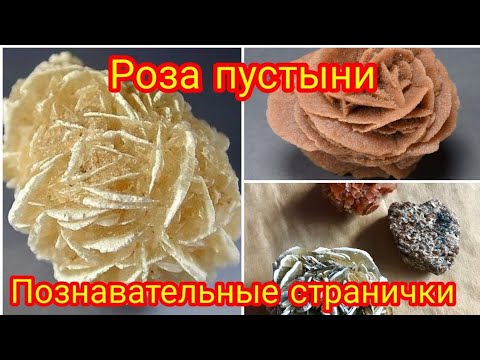 Видео: РОЗА ПУСТЫНИ🏜 Песчаная роза, роза песков🌹 Познавательные странички о натуральных камнях