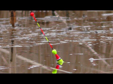 Видео: Такої риболовлі,🐟🐟 чекаєш цілий рік. 🎣 Рибалка на поплавок. Карась.