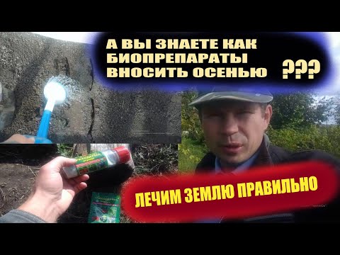 Видео: Обеззараживание почвы осенью.Триходерма,как вносить