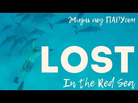 Видео: [139] Lost in the Red Sea. Затерянный на рифах Красного моря.