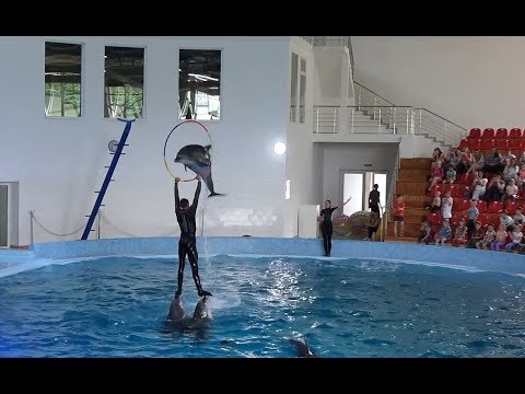 Видео: Дельфінарій "Оскар" м.Трускавець.