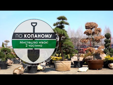 Видео: Програма "По копаному". Мистецтво нівакі. 2 частина