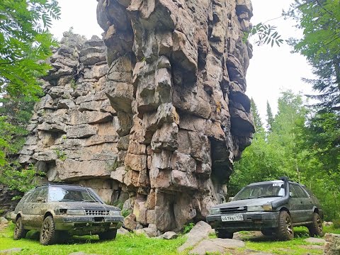 Видео: Ворона