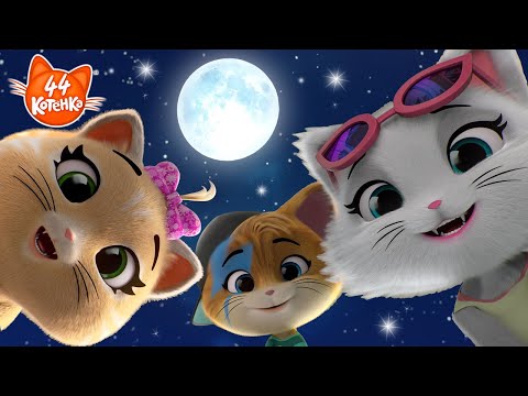 Видео: 44 Котёнка | Приключения под звездами: когда город засыпает... но они нет!