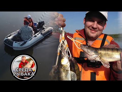 Видео: Рыбалка в Московской области на спиннинг  | Ловля судака и окуня на ОКЕ