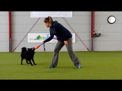 Видео: ИГРА "ПЕРЕТЯЖКИ" (5 основных ошибок)