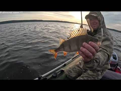 Видео: Рыбалка мечты ! Рыбалка на спиннинг! Поклёвки одна за другой .
