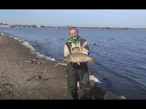 Видео: Как надо ловить карпА. Рыбалка с Юрием Журиным.