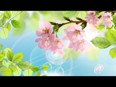 Видео: 🌸🌼🌺 МОИ ФАВОРИТЫ ПРОШЕДШЕЙ  ВЕСНЫ 🌷🌿🌿🌿