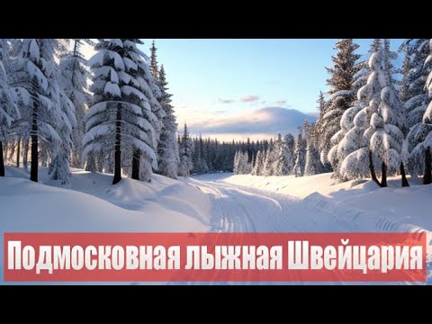 Видео: На лыжах по одной из самых лучших трасс Подмосковья / ГАБОвская народная лыжня