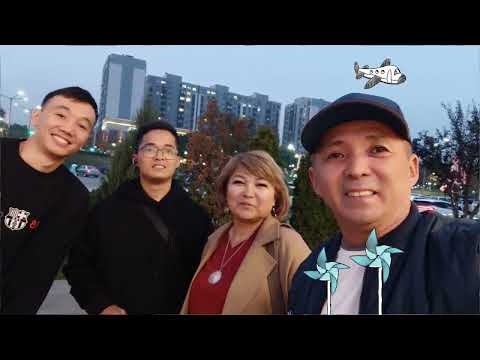 Видео: 5 ноября 2025 г.