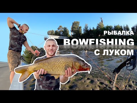 Видео: РЫБАЛКА С ЛУКОМ 🏹  КАНАЛ С ОГРОМНЫМИ ТРОФЕЙНЫМИ КАРПАМИ 😱😱