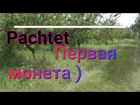 Видео: Тест металлоискателя MD-910 в деле. Первая монета..