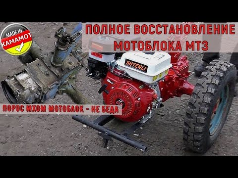 Видео: МОТОБЛОК МТЗ  порос мхом| Полное ВОССТАНОВЛЕНИЕ | СБОРКА КПП | ЗАПУСК мотоблока | ENG. SUB