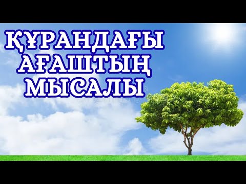 Видео: НАҒЫЗ МҰСЫЛМАННЫҢ СИПАТЫ || ЖАЛҒАС АСХАТҰЛЫ