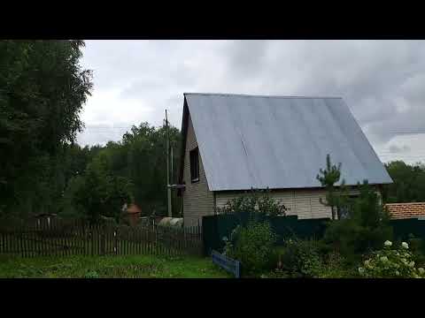 Видео: Поход на дачу. 09.08.2025