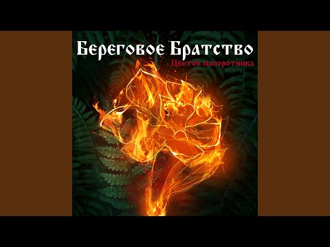 Видео: Цветок папоротника