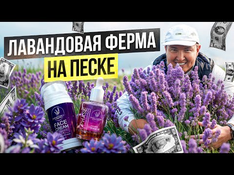 Видео: Кыргызская Косметика лучше Корейской!? – Сколько приносит Лавандовая ферма на Иссык-Куле