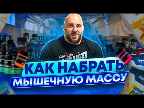 Видео: Как набрать мышечную массу? РАБОЧАЯ Программа Тренировок на месяц! Как тренироваться новичку?