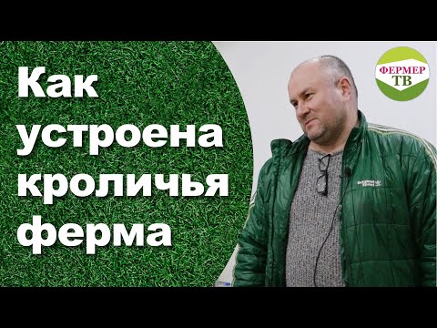 Видео: Как устроена кроличья ферма