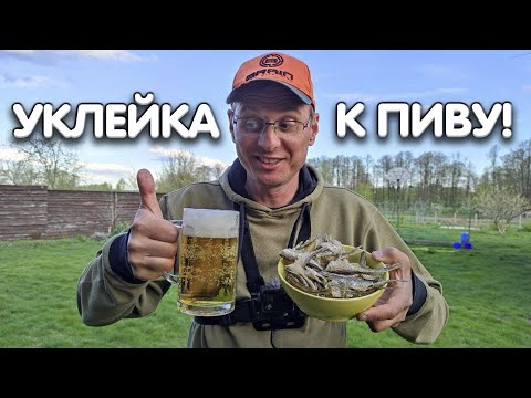 Видео: Закуска к пиву! Рецепт приготовления уклейки во фритюре от Дяди Фёдора.