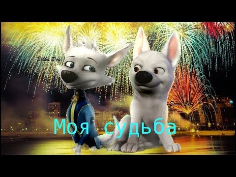 Видео: Белка и Вольт: Моя судьба