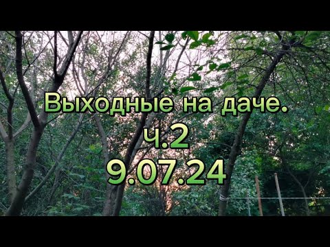 Видео: Выходные на даче. Часть 2 (9.07.24)