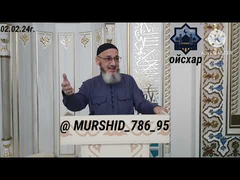 Видео: ИСА ХЬАЖА ОЙСХАР! НАСИБА ЙОЛЧУ АСХЬАБЕХ ЛАЬЦ ХАЗ ХЬЕХАМ! 02.02.2024г.