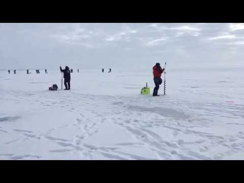 Видео: Чемпионат Мира по момрмышке. Казахстан. 2 тур.