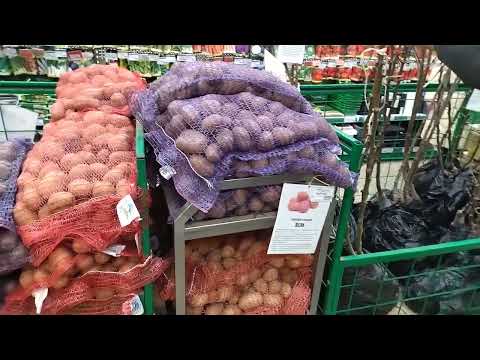 Видео: Покупка саженцев сливы гибридной  Шарафуга и сливы Венгерка Белорусская  в магазине "Насення"