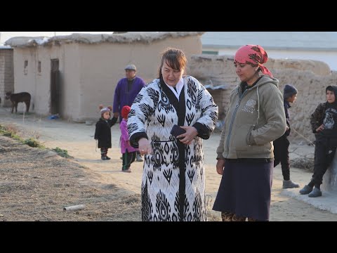 Видео: Нишон тумани Оқ-Олтин маҳалласида ерлар картошка етиштиришга тайёрланмоқда