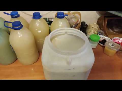 Видео: Кодзи Ангел + Рис