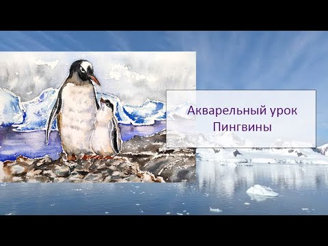 Видео: Бесплатный акварельный урок "Пингвины"